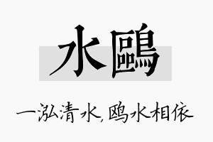 水鸥名字的寓意及含义