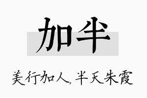 加半名字的寓意及含义