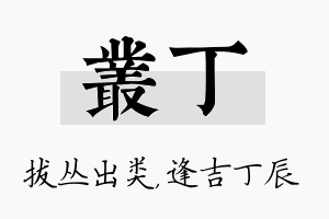 丛丁名字的寓意及含义