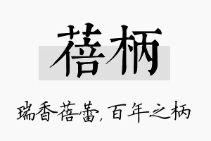 蓓柄名字的寓意及含义