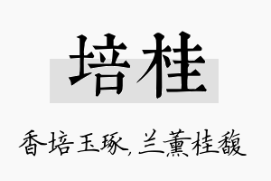 培桂名字的寓意及含义