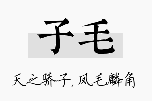 子毛名字的寓意及含义