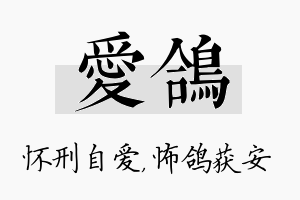 爱鸽名字的寓意及含义