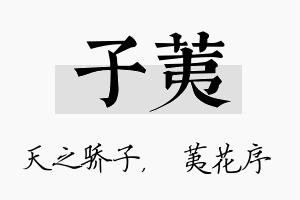 子荑名字的寓意及含义