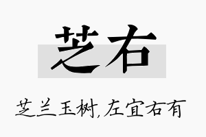 芝右名字的寓意及含义