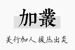 加丛名字的寓意及含义