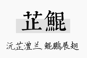 芷鲲名字的寓意及含义