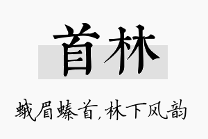 首林名字的寓意及含义