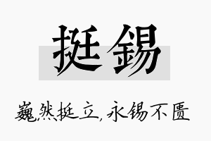 挺锡名字的寓意及含义