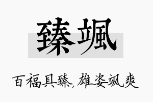 臻飒名字的寓意及含义