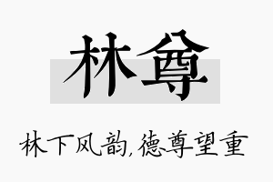 林尊名字的寓意及含义