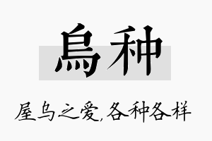 乌种名字的寓意及含义