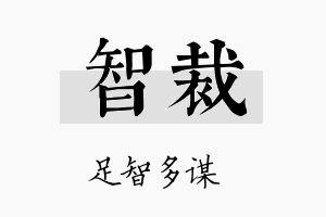 智裁名字的寓意及含义