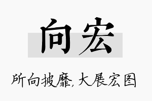 向宏名字的寓意及含义