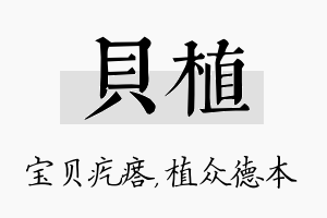 贝植名字的寓意及含义