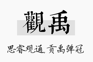 观禹名字的寓意及含义