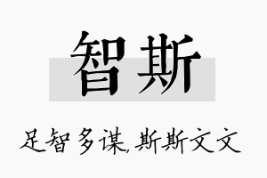 智斯名字的寓意及含义