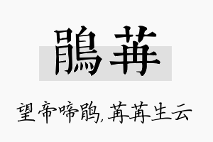 鹃苒名字的寓意及含义