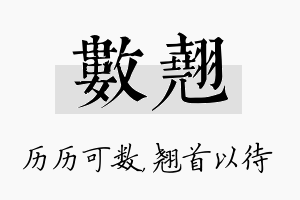 数翘名字的寓意及含义