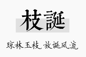 枝诞名字的寓意及含义