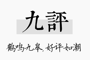 九评名字的寓意及含义