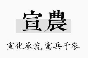 宣农名字的寓意及含义