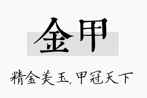 金甲名字的寓意及含义