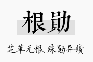 根勋名字的寓意及含义