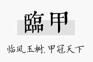 临甲名字的寓意及含义