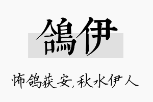 鸽伊名字的寓意及含义