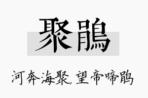 聚鹃名字的寓意及含义