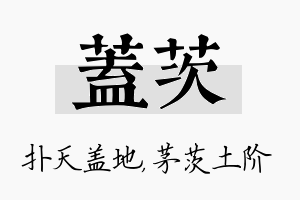 盖茨名字的寓意及含义