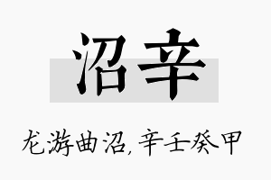 沼辛名字的寓意及含义