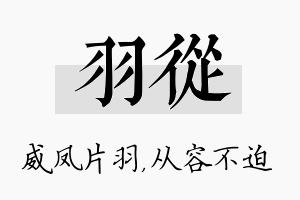 羽从名字的寓意及含义