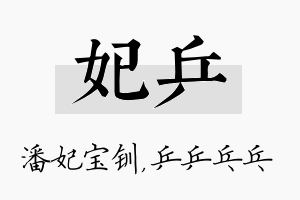 妃乒名字的寓意及含义