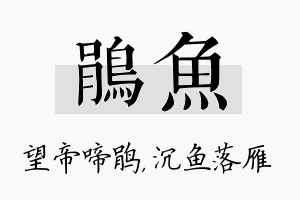 鹃鱼名字的寓意及含义