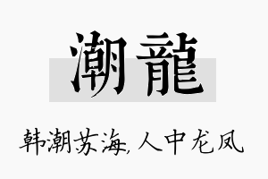 潮龙名字的寓意及含义