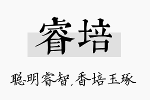 睿培名字的寓意及含义