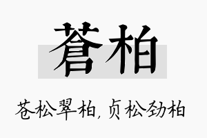 苍柏名字的寓意及含义