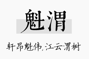 魁渭名字的寓意及含义