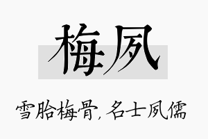 梅夙名字的寓意及含义