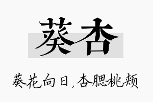 葵杏名字的寓意及含义