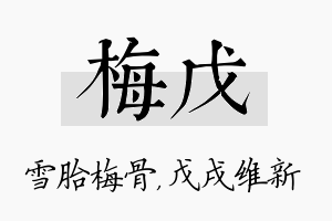 梅戊名字的寓意及含义