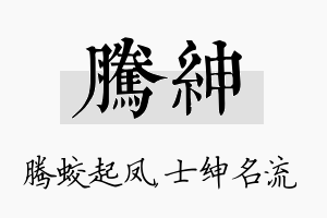 腾绅名字的寓意及含义