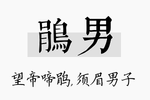 鹃男名字的寓意及含义