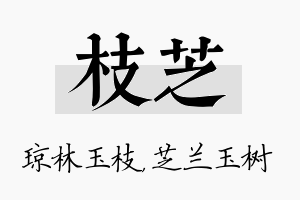 枝芝名字的寓意及含义