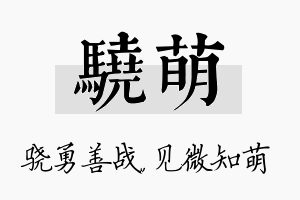 骁萌名字的寓意及含义