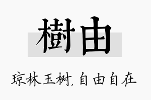 树由名字的寓意及含义