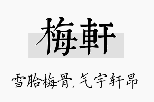 梅轩名字的寓意及含义