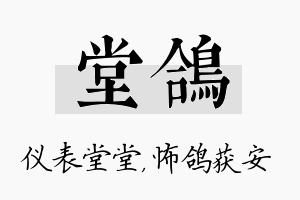 堂鸽名字的寓意及含义